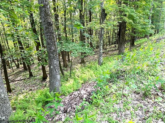 4th image of 117 E Alpine Dr