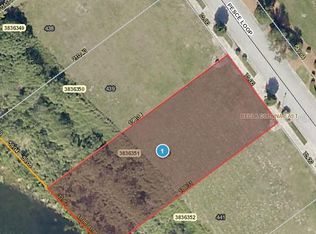 17316 Pesce Loop, Montverde, FL 34756