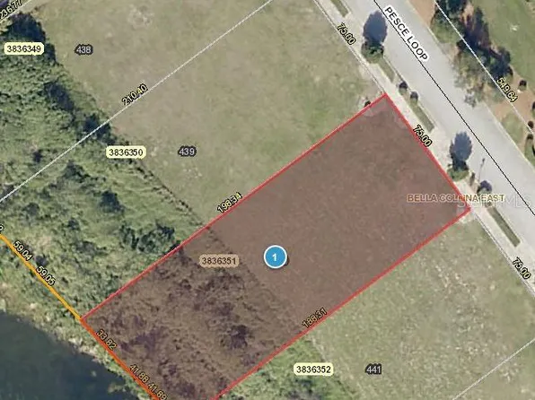 17316 Pesce Loop, Montverde, FL 34756