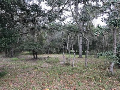 10640 Jacamar Dr, New Port Richey, FL, 34654