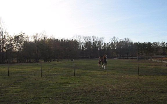 2nd image of 7421 County Road 54 W