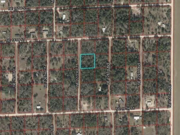 0 NE 127th Ct #9, Williston, FL 32696