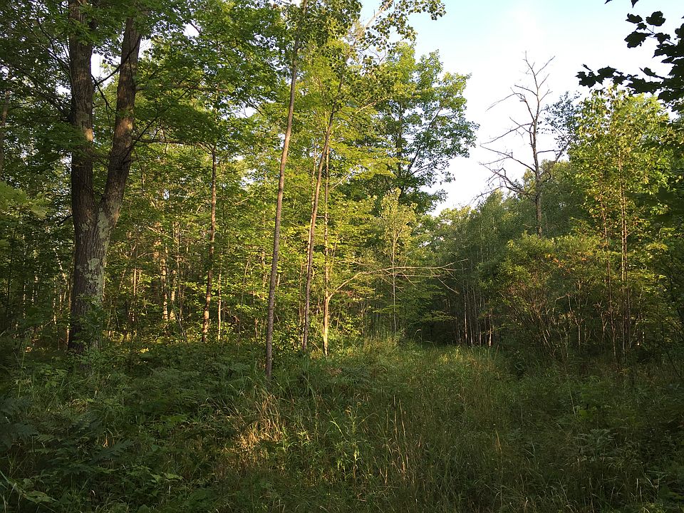 1st image of 21585 State Hwy #18