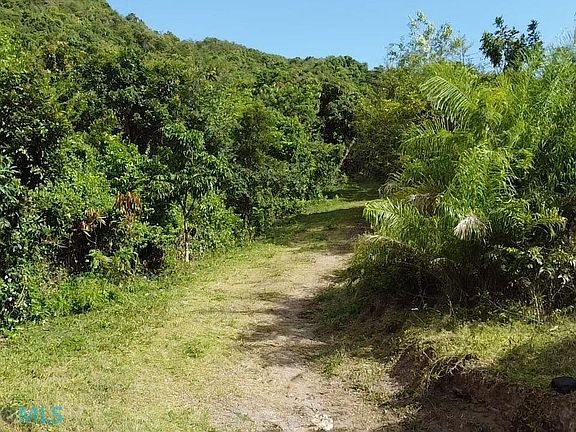 2nd image of Carr 149 Bo Guayabal Km Int 557 #Home 59.9