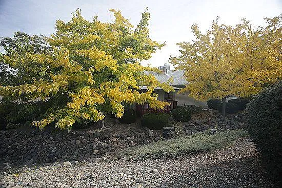 Back deck view from street