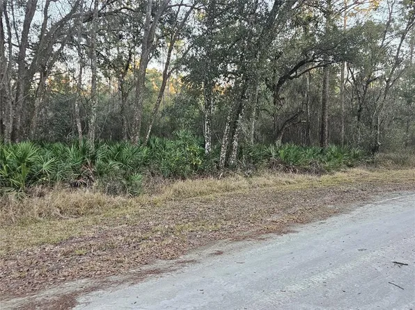 ROSEHILL DRIVE LOT 1, WEBSTER, FL 33597