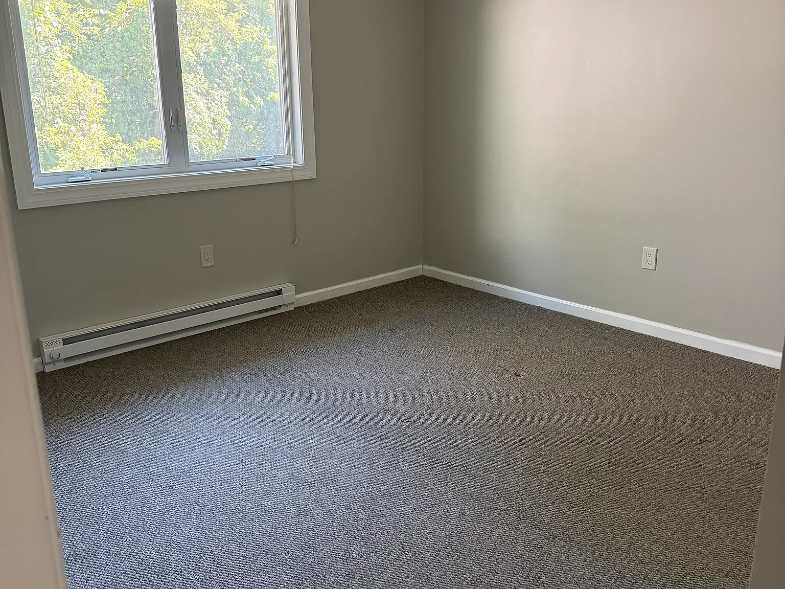 2 bed, 780 sqft, $1,600 — Photo 3
