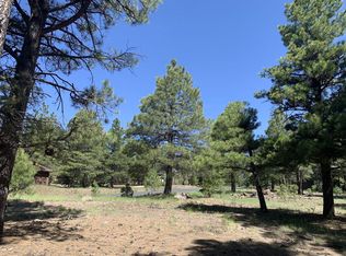 3242 Dick Hevly, Flagstaff, AZ 86005