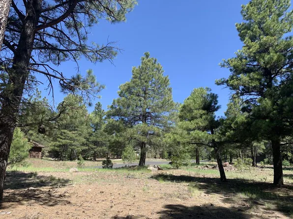 3242 Dick Hevly, Flagstaff, AZ 86005