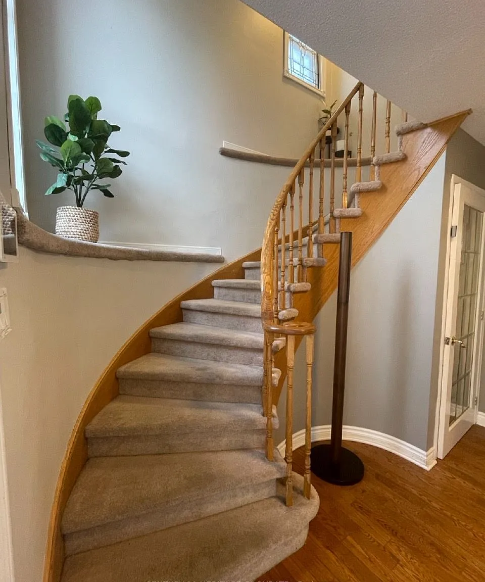 5 bed, $5,000 — Photo 4
