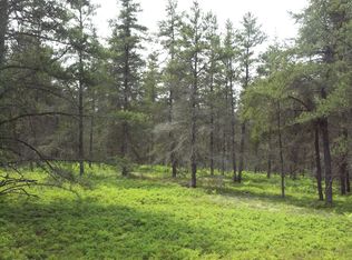 Carlson Rd, Manistique, MI 49854