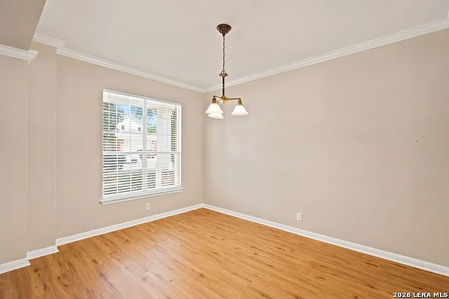 213 Lieck Cv — Photo 3