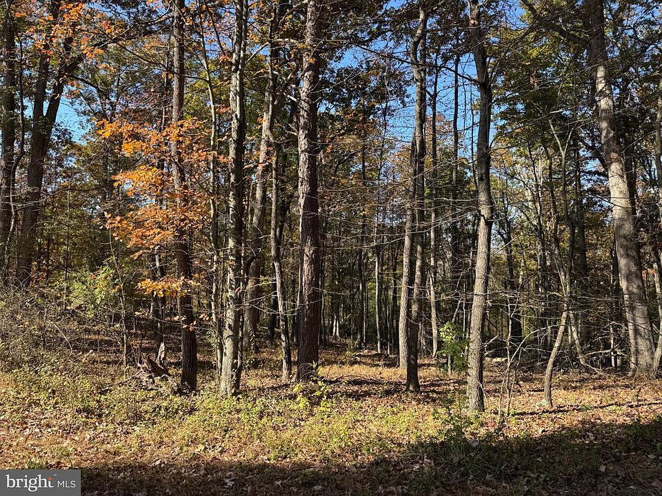 1st image of Blossom Rd