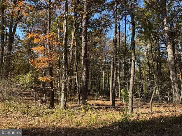 Blossom Rd, Romney, WV 26757