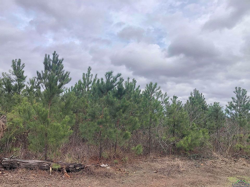 County Road 3663, Queen City, TX 75572 MLS 20227407 Zillow