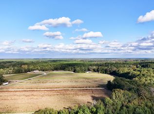 0 Chavis Rd, Blackville, SC 29817