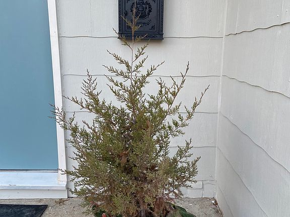 2nd image of 600 E 12th St