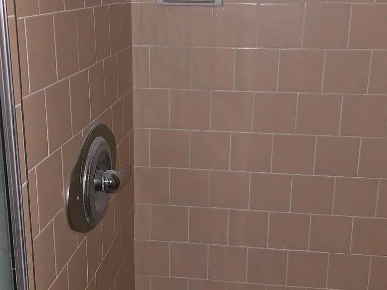 Shower/ Regadera