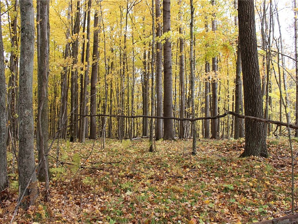 1st image of 80 acres Berry Road
