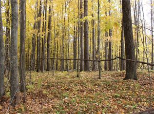 80 Acres Berry Rd, Birchwood, WI 54817