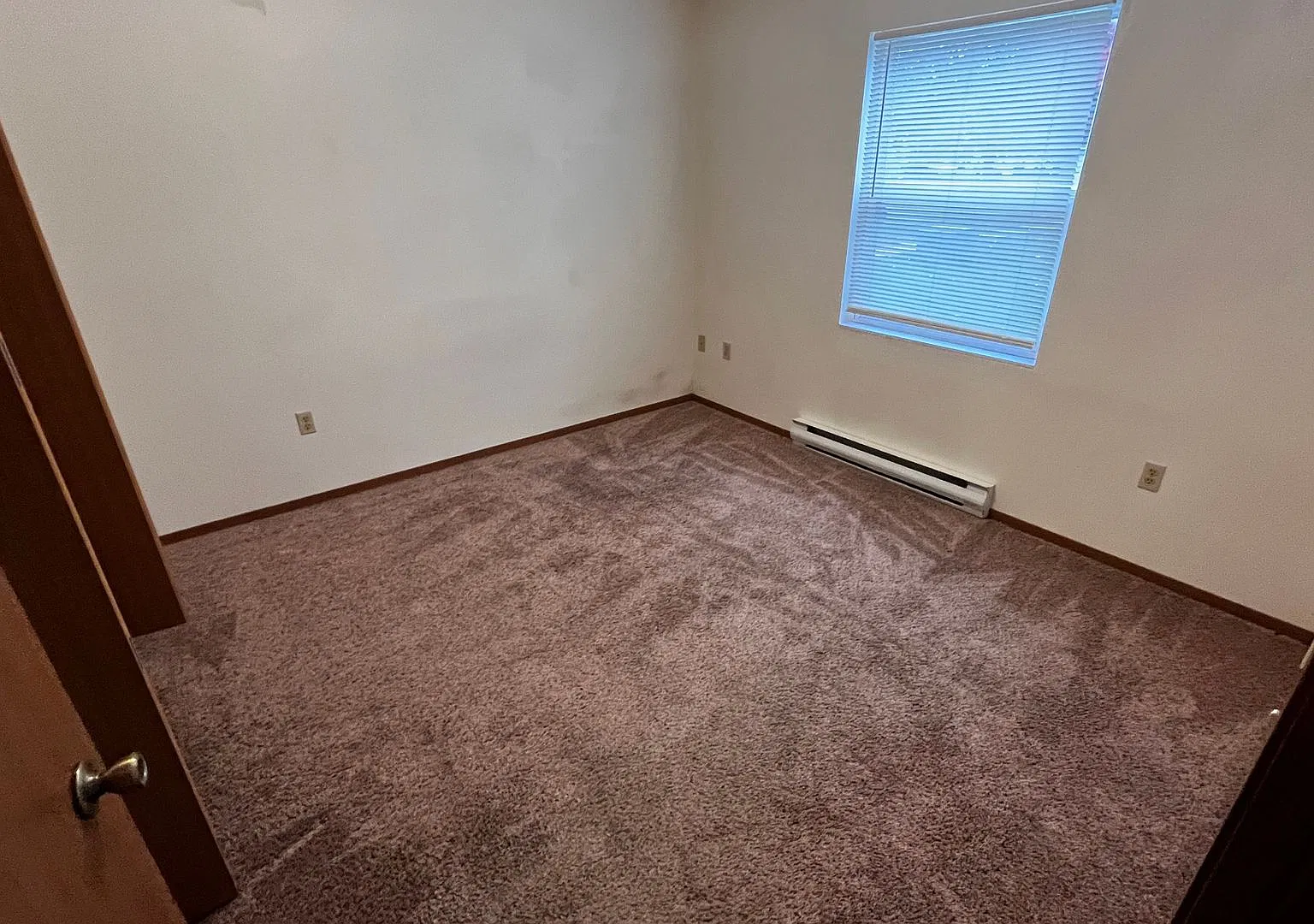4920 Kappus — Photo 4