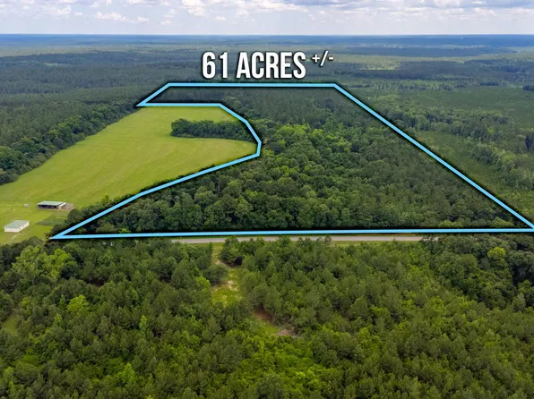 61.85 Acre Hwy #602, Laurel Hill, FL 32567