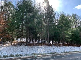 State Route 55, Neversink, NY 12765