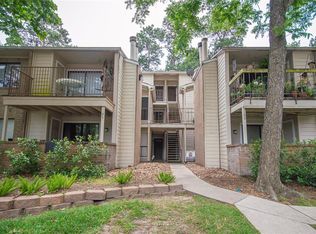 3500 Tangle Brush Dr APT 99, Spring, TX 77381