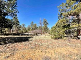 TBD S Badger Trail, Ridgway, CO 81432