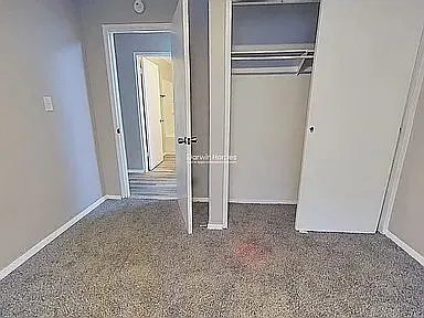 jpg