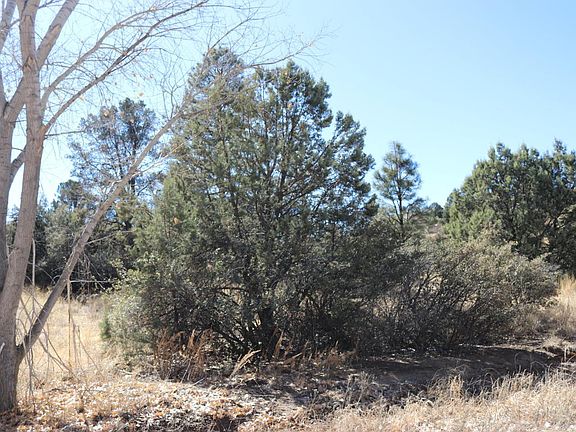 4th image of 2640 Tabosa Dr
