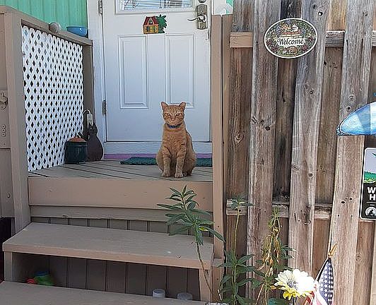 Welcoming committee 