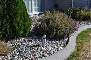 3rd image of 1076 Parkway Ln