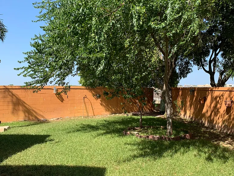211 Sun Ray Loop — Photo 15