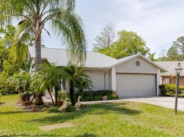 11521 Rose Tree Dr, New Port Richey, FL 34654