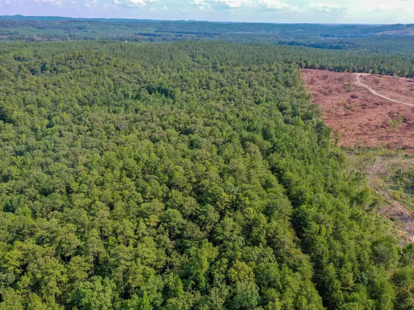 White Oak Rd #0, Sylacauga, AL 35151