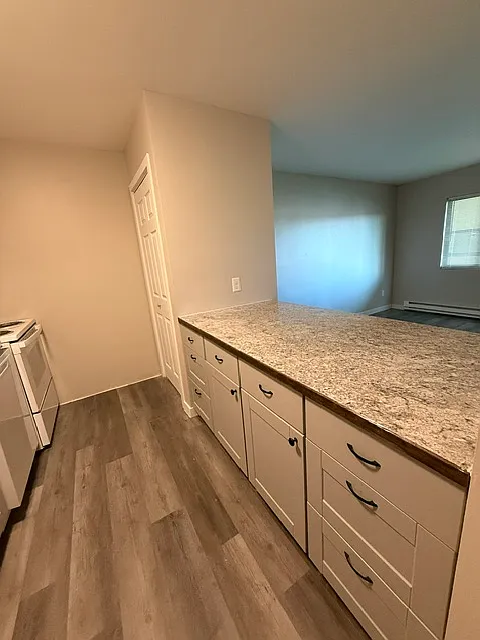 1 bed, $1,100 — Photo 3
