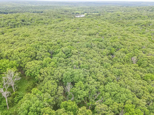 000 Highway 54, Preston, MO 65732