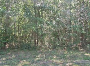 LOT 7 SW 197th Court Rd, Dunnellon, FL 34432