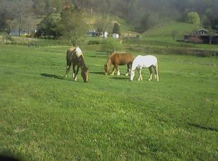 3483 Liner Creek Rd, Clyde, NC 28721