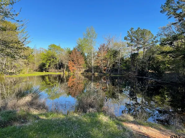 5 Belles Ln, Brownsboro, TX 75756