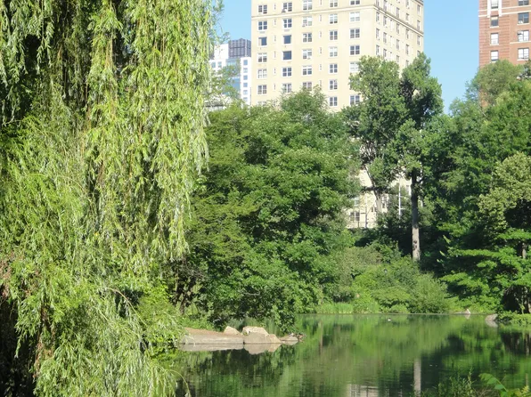 410 Central Park West 3C image 12 of 12