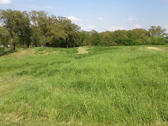5th image of 11 Acres In Otter Creek Township
