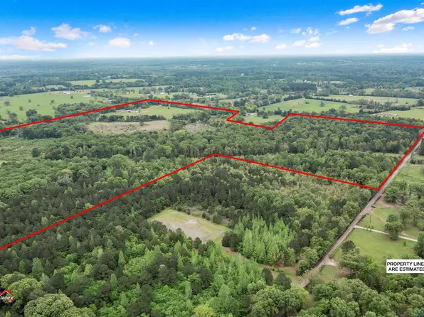County Road 248, Beckville, TX 75631