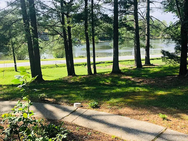 2 bed, 1000 sqft, $1,250 — Photo 2