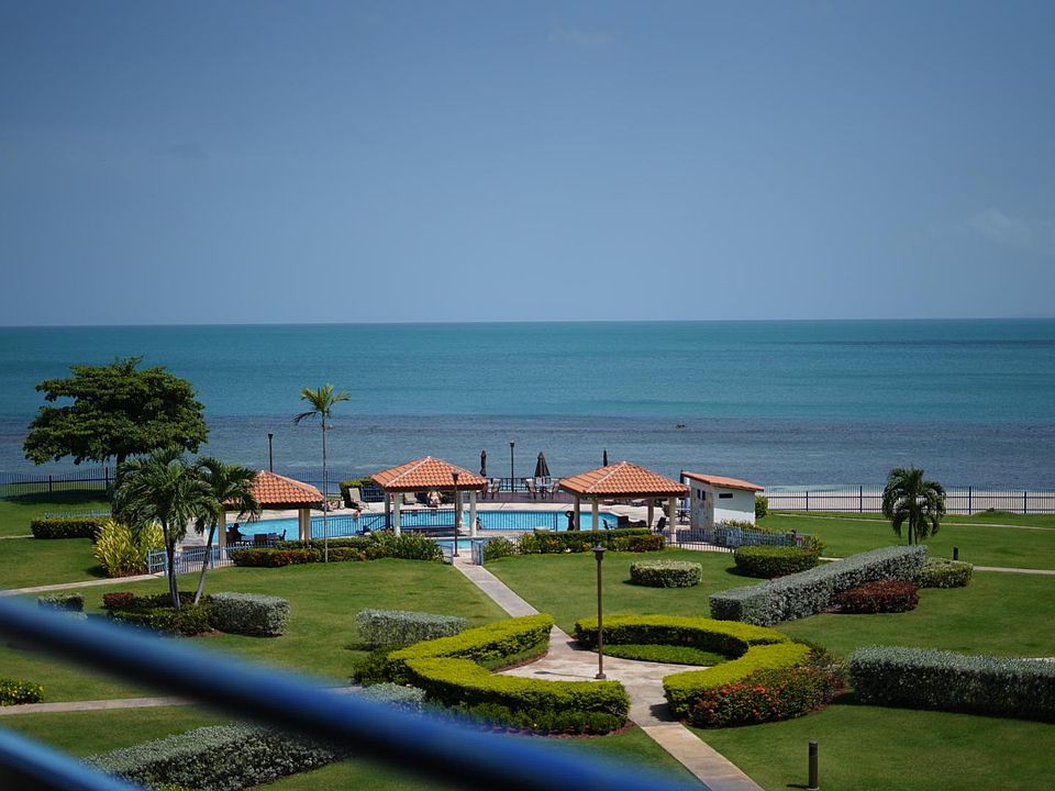 View from the Balcony