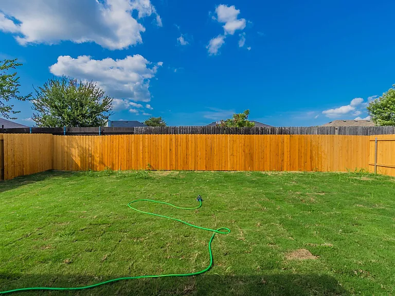 Backyard