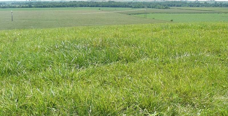1st image of 156 Highway 225 #C