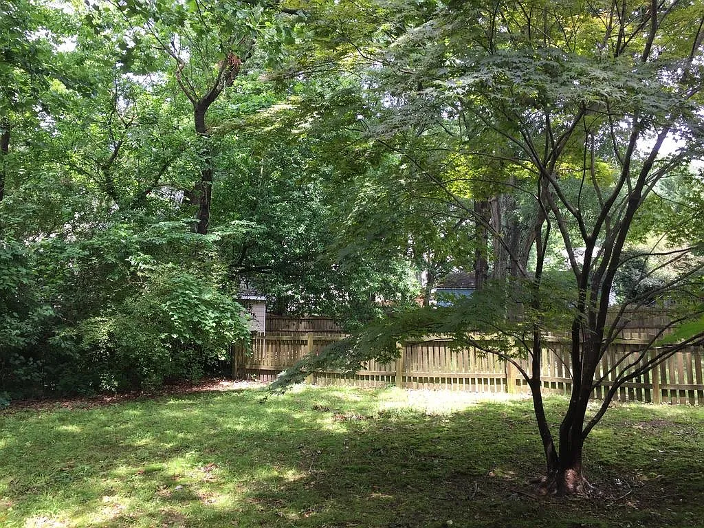 2 bed, $1,800 — Photo 2
