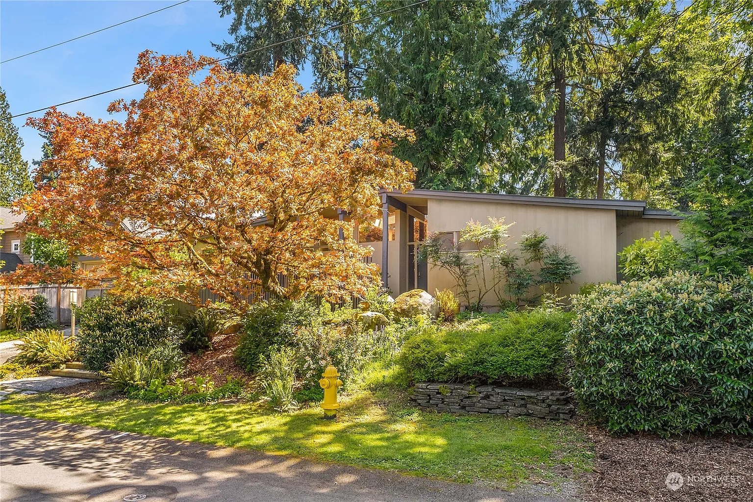 10613 Woodhaven Lane photo 1